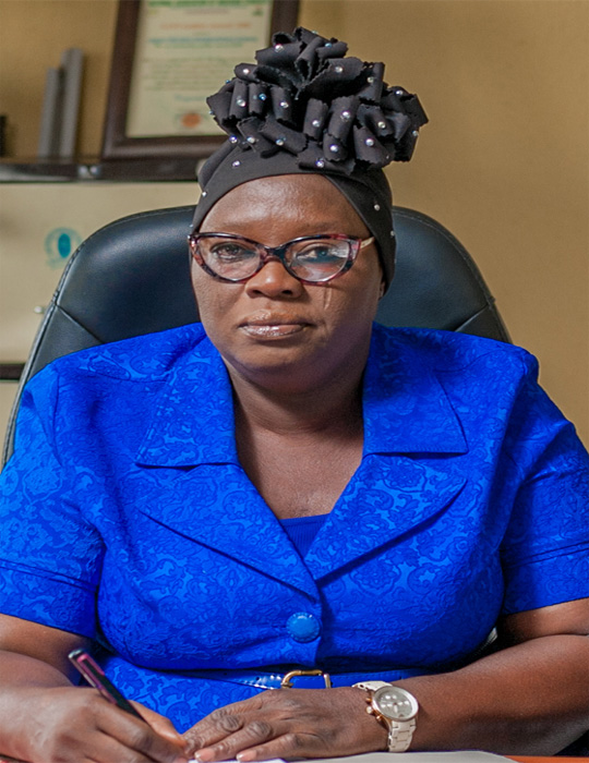 Mrs Aminu S.A. - Principal Image